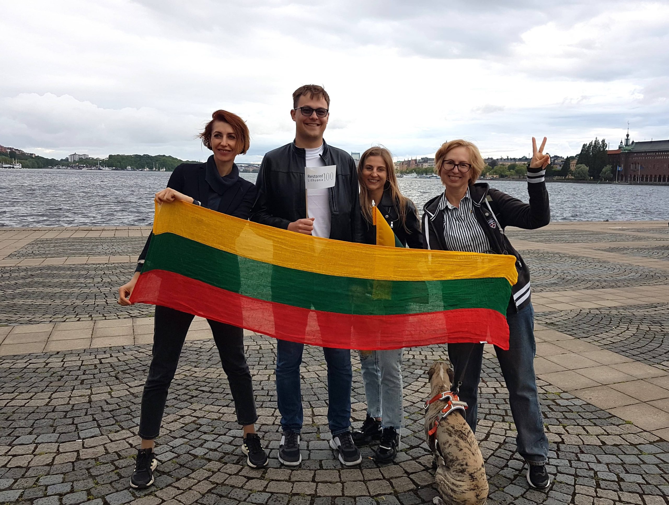 Membership requirements for Lithuanian Professionals in Stockholm club